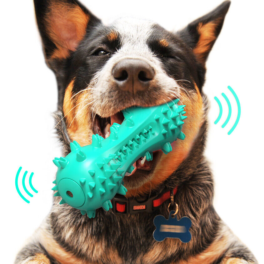 Durable Chew Toys for Aggressive Chewer Dogs