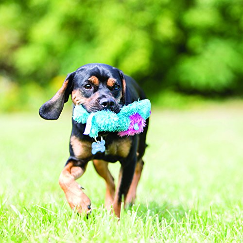 KONG Cozie™ Floppy Rabbit Dog Toy - Medium Dogs