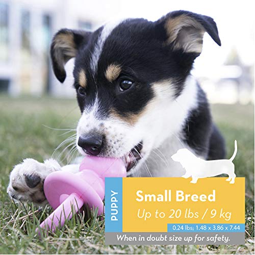 KONG Puppy Binkie - Soft Teething Toy for Dogs
