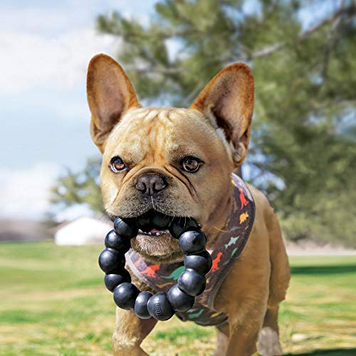KONG Ring: Extreme Durable Rubber Chew Toy for XL Dogs