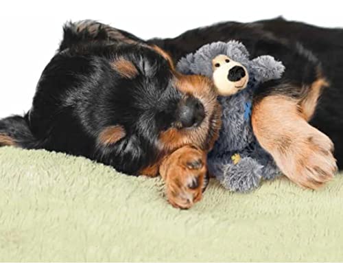 2-Pack Kong Wild Knots Bear Dog Toys for Small/Med Dogs