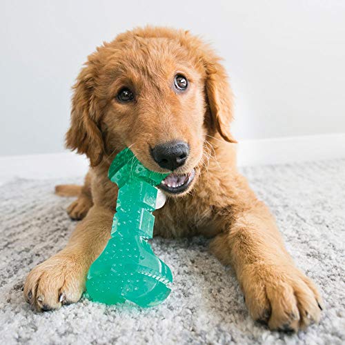 KONG Squeezz Dental Ball - Flexible Textured Chew Toy