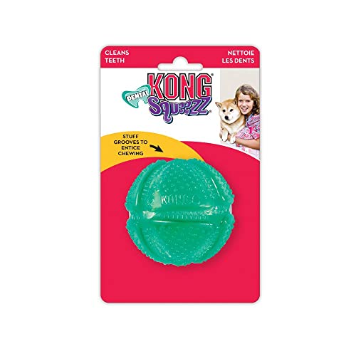 KONG Squeezz Dental Ball - Flexible Textured Chew Toy