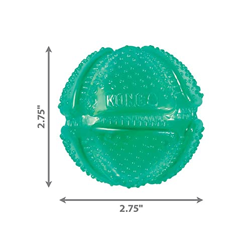 KONG Squeezz Dental Ball - Flexible Textured Chew Toy