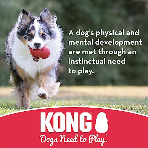 KONG Durable Rubber Flying Disc For Large Dogs