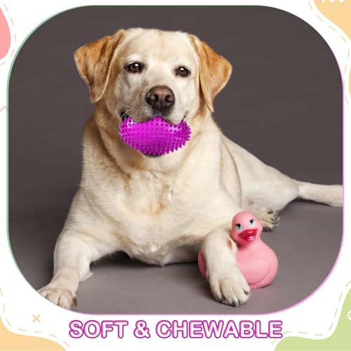 4 Pack Spiky Squeaker Football Toy for Dogs