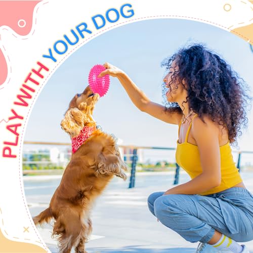4 Pack Spiky Squeaker Football Toy for Dogs