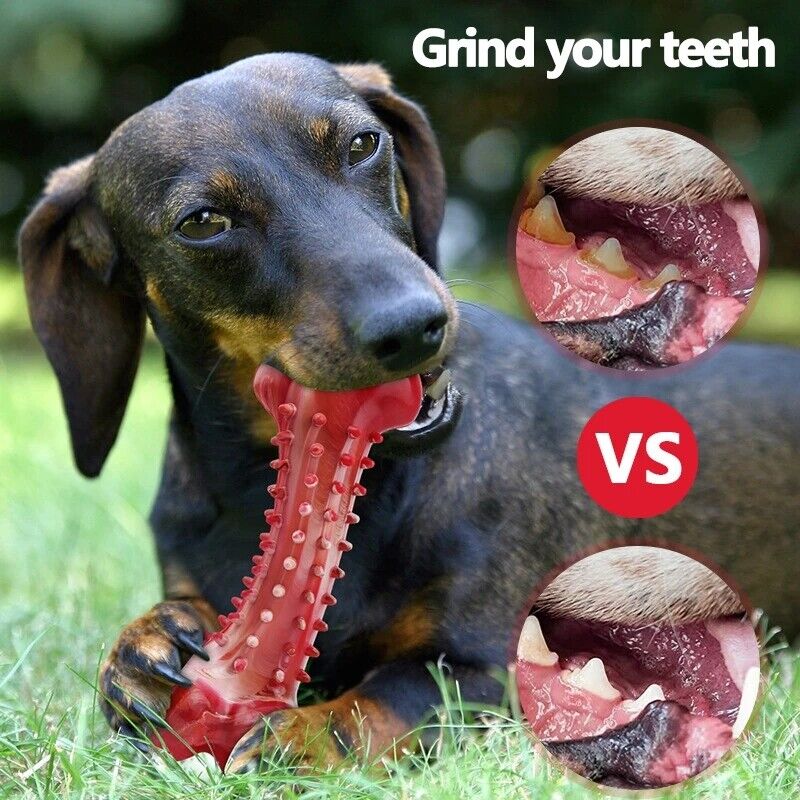 Durable Large Breed Dog Chew Toys Teeth Cleaning