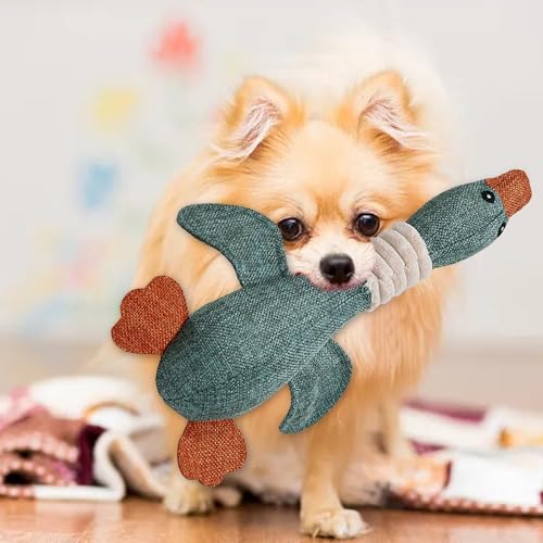 Indestructible Dog Toys for Aggressive Chewers - Small/Medium/Large