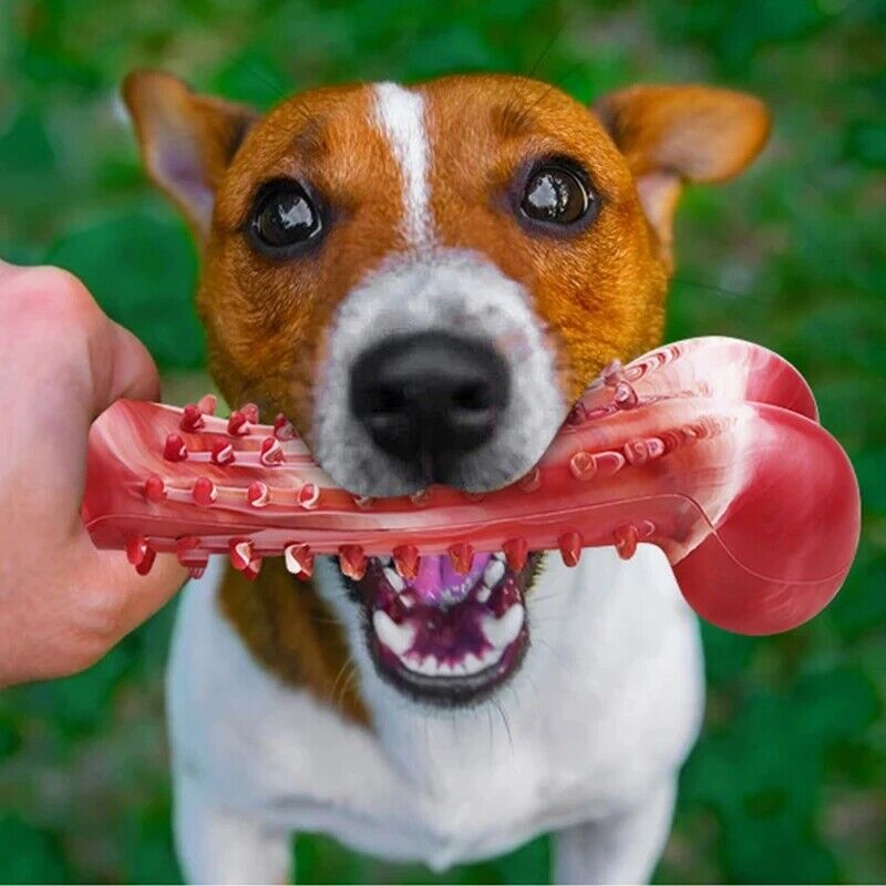 Durable Large Breed Dog Chew Toys Teeth Cleaning