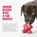 KONG Jump'N Jack - Durable Rubber Chew Toy for Large Dogs