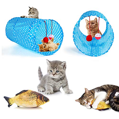 31 Piece Cat Toy Assortment Set for Kittens