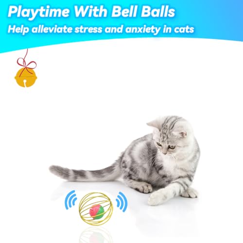 Interactive Cat Toy Set with Metal Cage Balls
