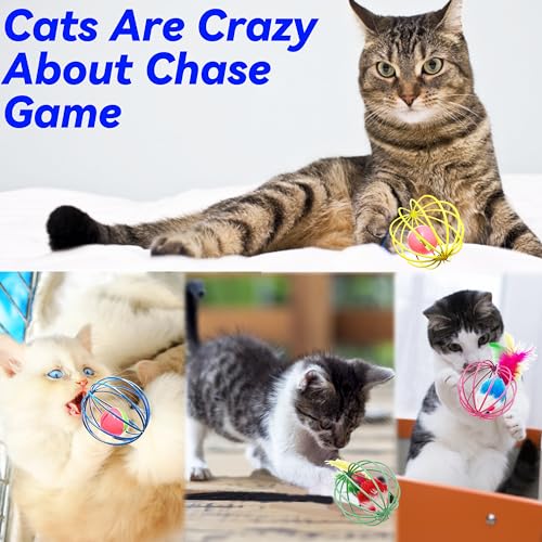 Interactive Cat Toy Set with Metal Cage Balls