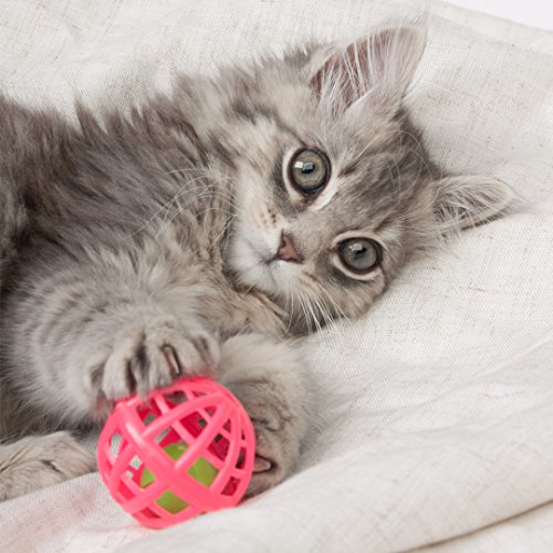 HARTZ Just For Cats Toy Pack - 13 Pieces