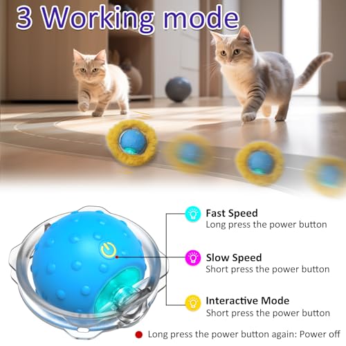 Interactive Cat Toys: Motion-Activated Chirping Mouse Game
