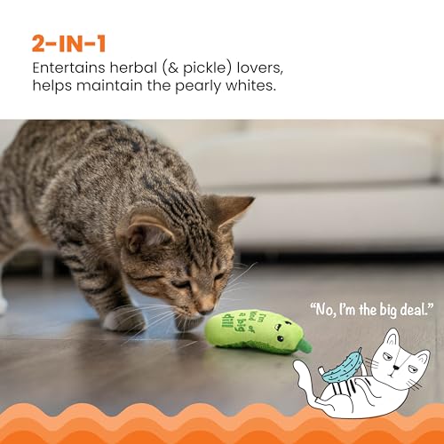 Crunchy Pickle Kicker Catnip Cat Toy for Dental