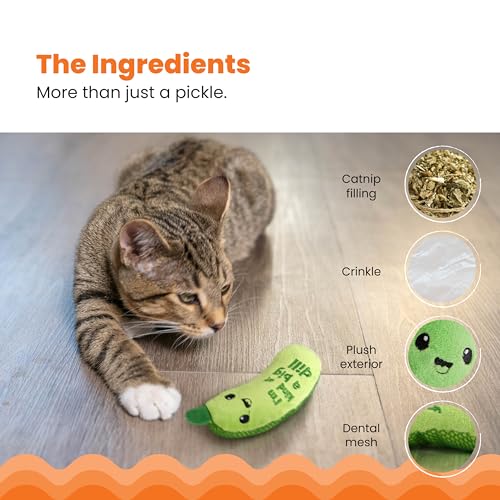 Crunchy Pickle Kicker Catnip Cat Toy for Dental