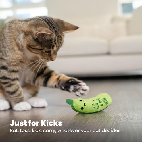 Crunchy Pickle Kicker Catnip Cat Toy for Dental