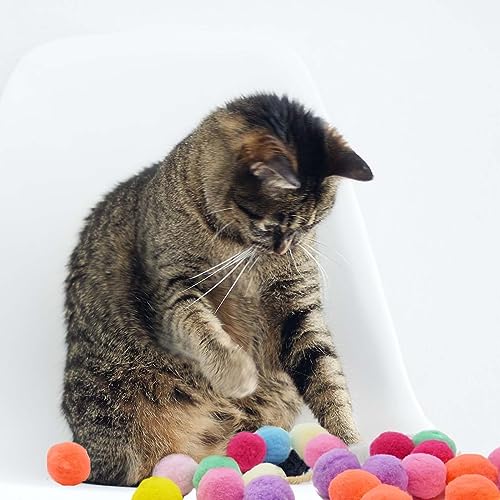 DIY Cat Toy Set with Launcher and Pom-Poms