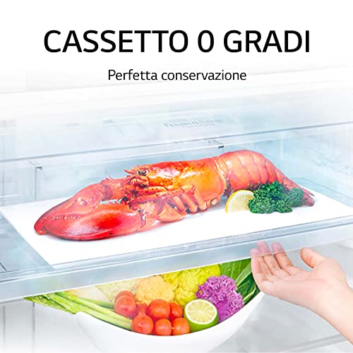 LG 438L A++ Platinum Silver Fridge-Freezer