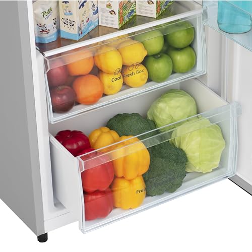 Hisense RL415N4ACE Grey Freestanding Refrigerator