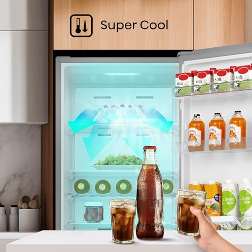 Hisense RL415N4ACE Grey Freestanding Refrigerator