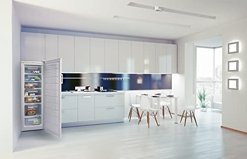 Iceking 242L Tall Freezer with 7 Compartments