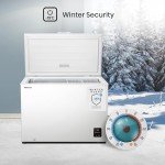Hisense 297L Freestanding Chest Freezer - White