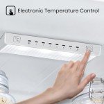Hisense 60 cm Freestanding Fridge Freezer with Water Dispenser