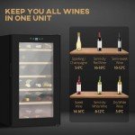 HOMCOM 24-Bottle Freestanding Wine Cooler - Black