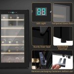 HOMCOM 24-Bottle Freestanding Wine Cooler - Black