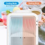 WANNYTON 4L Portable Mini Fridge Cooler/Warmer