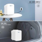 WANNYTON 4L Portable Mini Fridge Cooler/Warmer
