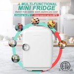 CROWNFUL Pink 4L Mini Portable Cooler/Warmer