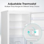 Compact 133L Under-Counter Refrigerator RL170D4BWE