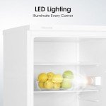 Compact 133L Under-Counter Refrigerator RL170D4BWE