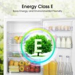 Compact 133L Under-Counter Refrigerator RL170D4BWE