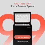 99L Chest Freezer with Adjustable Temperature Control