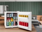 Mini LED Fridge 30L - Quiet & Lockable