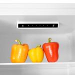 SIA White Fridge Freezer with 302L Capacity