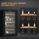 HOMCOM 24-Bottle Freestanding Wine Cooler - Black