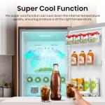 Hisense RL415N4ACE Grey Freestanding Refrigerator