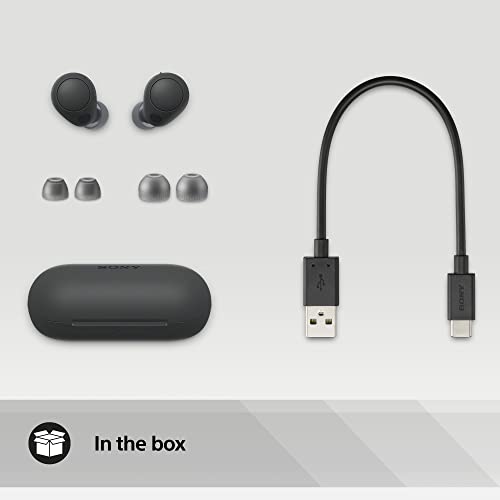 Sony WF-C700N Wireless Noise-Canceling Bluetooth Earbuds
