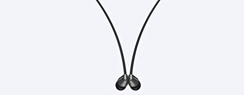 Sony Wi-C310 Wireless In-Ear Headphones with Assistant