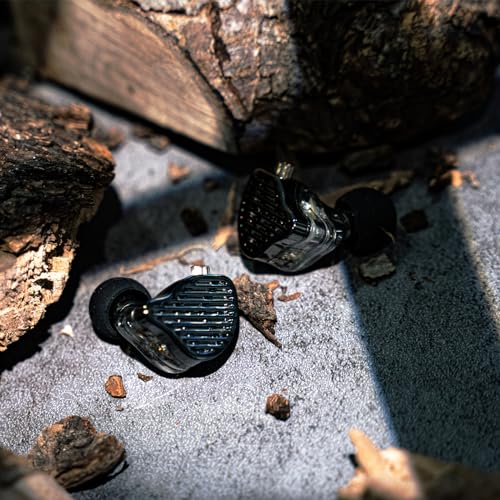 Linsoul KZ x HBB PR2 HiFi In-Ear Monitors