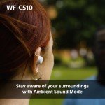 Sony WF-C510 Wireless Earbuds - Lightweight, Bluetooth, Long Battery