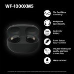 Sony WF-1000XM5 Wireless Noise Cancelling Earbuds