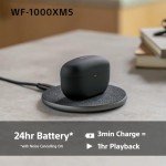 Sony WF-1000XM5 Wireless Noise Cancelling Earbuds