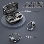 Bluetooth 5.4 Wireless Earbuds with Noise Cancelling